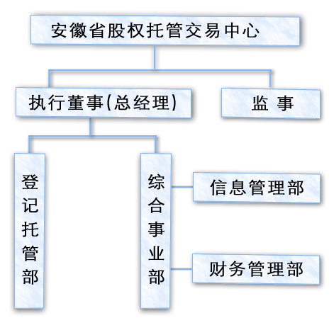 安徽省股權(quán)登記結(jié)算公司組織架構(gòu)圖